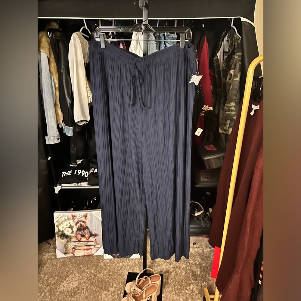 NWT Navy Blue Pants